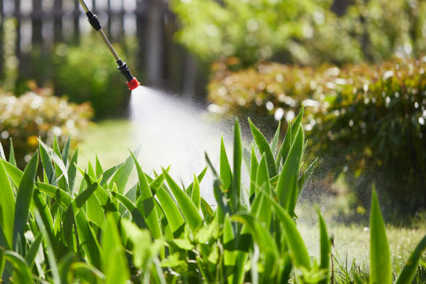 24/7 Emergency Mosquito Control experts in Stallings, NC